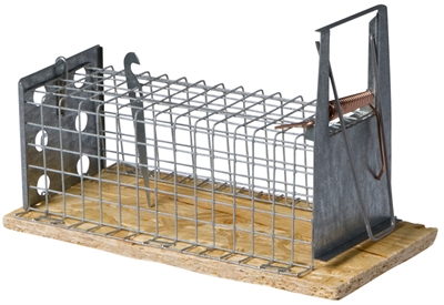 LUNA Houten muizenval Recht 1-kleps Veilig zelfsluitend mechanisme - houtkleur - 16 cm