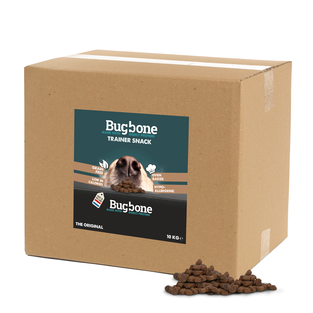 Bugbone Trainer Snack grand conditionnement friandise pour chien 10 kg