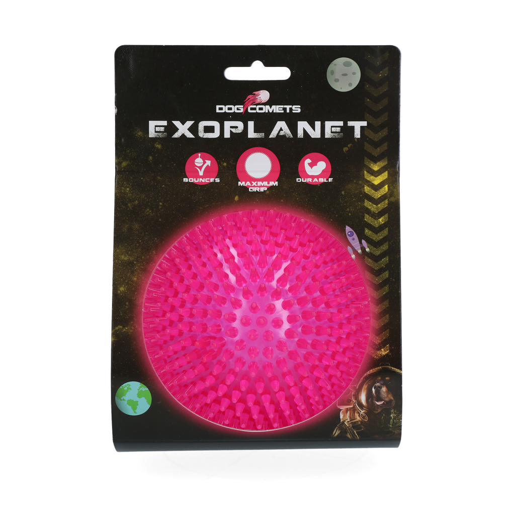 Dog Comets Exoplanet Igelball Hundespielzeug L Rosa