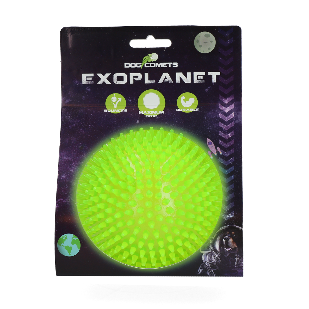 Dog Comets Exoplanet Egelbal hondenspeelgoed L Groen