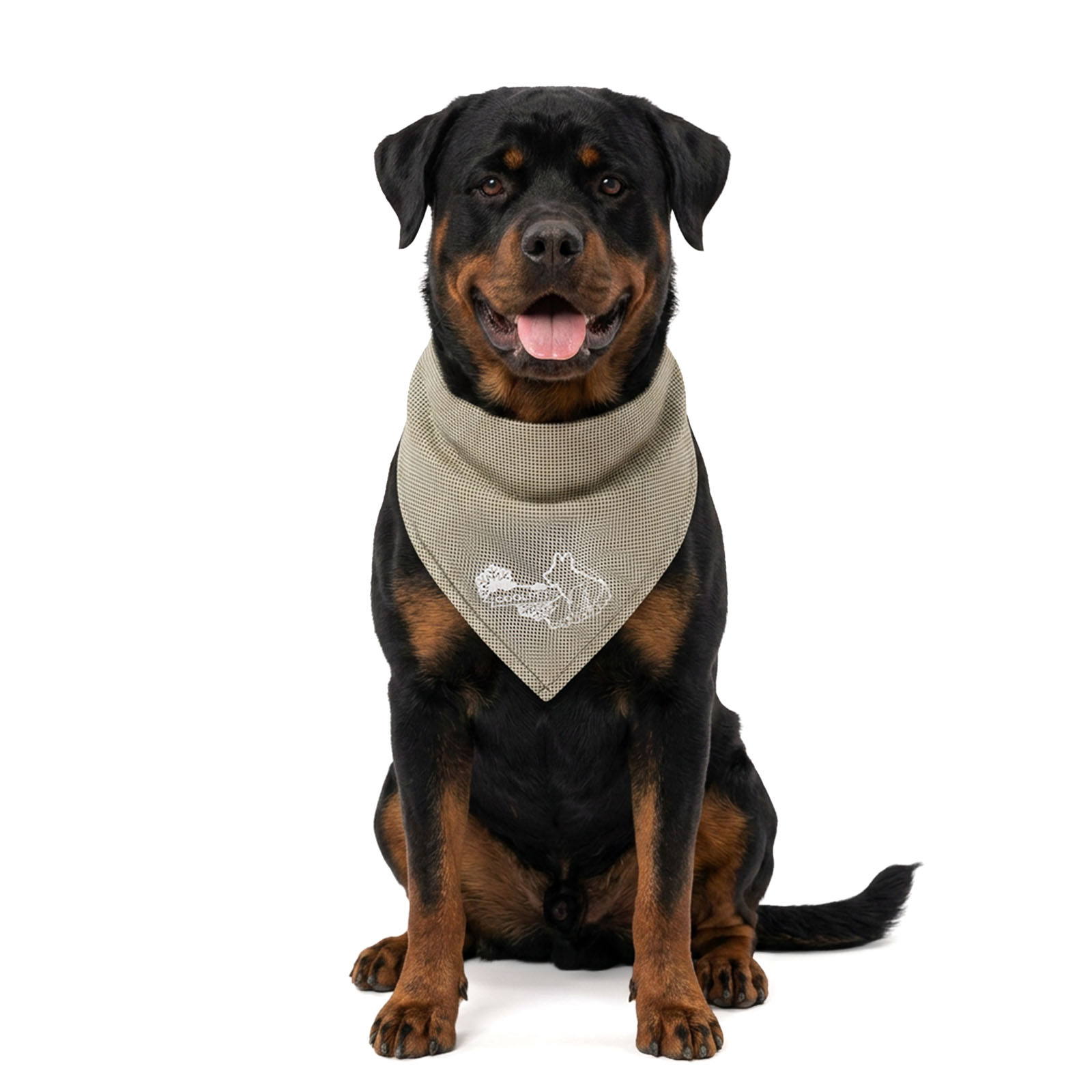 Coolpets Cooling Bandana Kühlbandana Beige L