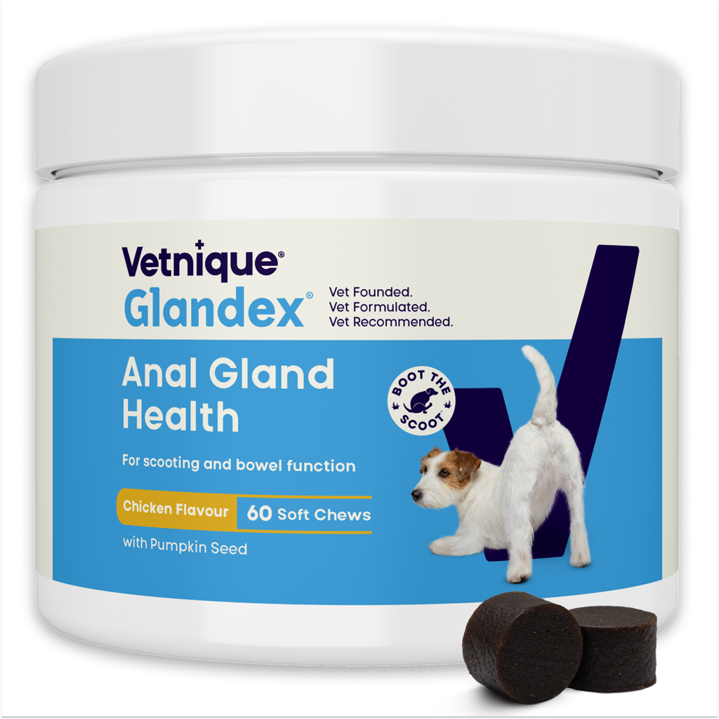 Glandex Soft Chews Huhn 60 Stück (240 g)