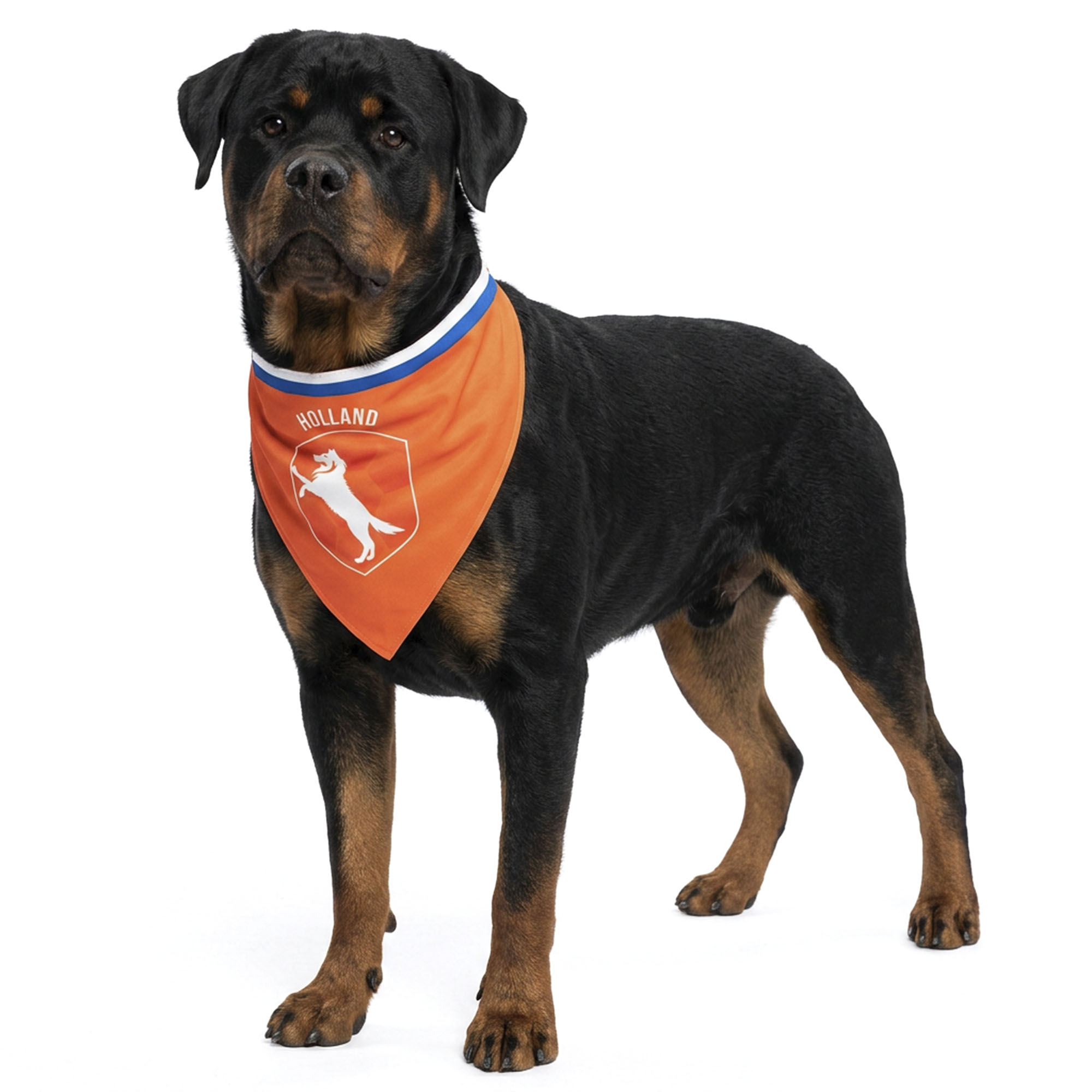 Oranje Bandana Holland hondenbandana maat L