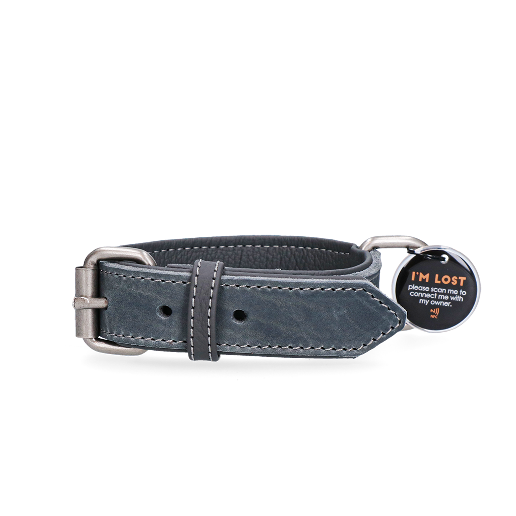 Spotted! Pro collier en cuir pour chien Gris 50 cm