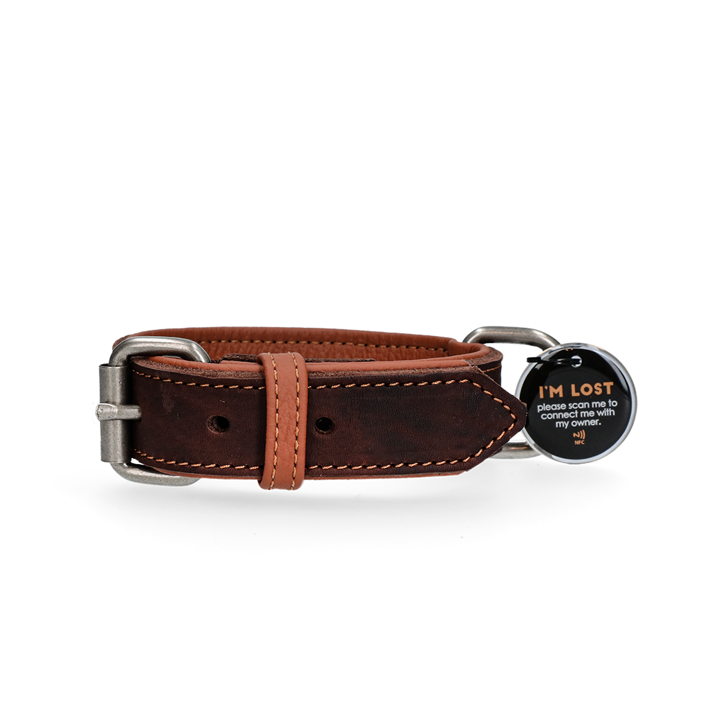 Spotted! Pro Lederhalsband für Hunde Braun 50 cm