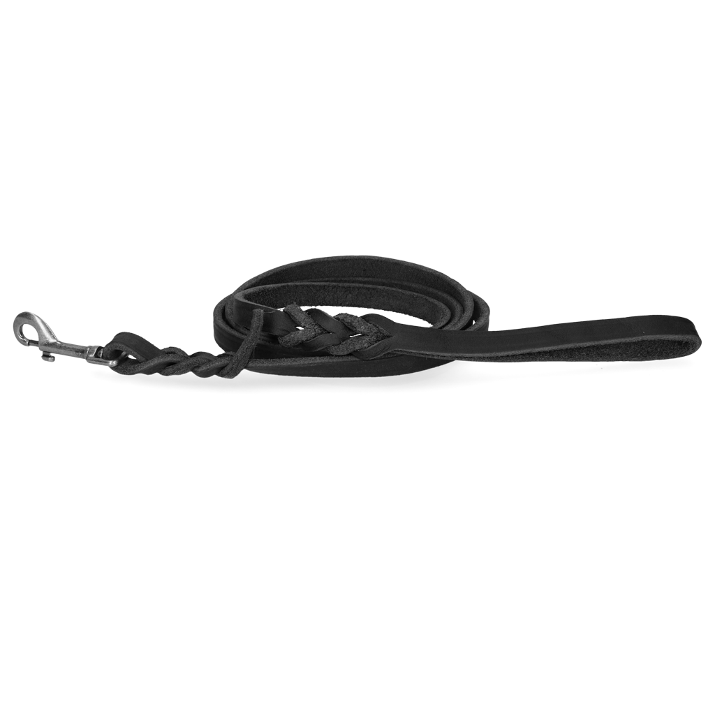 Spotted! Pro laisse d’exposition en cuir 180 cm x 18 mm noire avec mousqueton