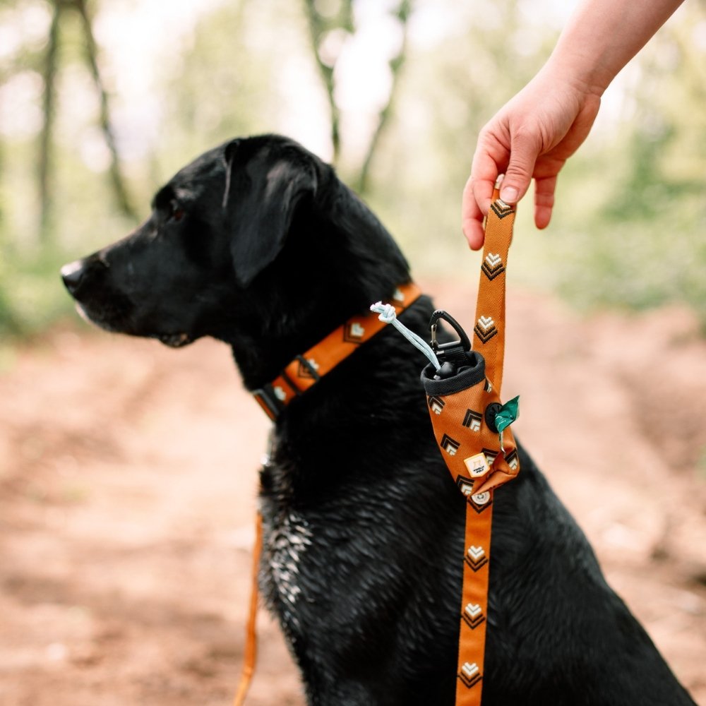 Woolly Wolf Sea to Summit halsband