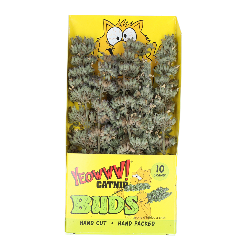 Yeowww! Catnip Buds brins d'herbe à chats 10 g