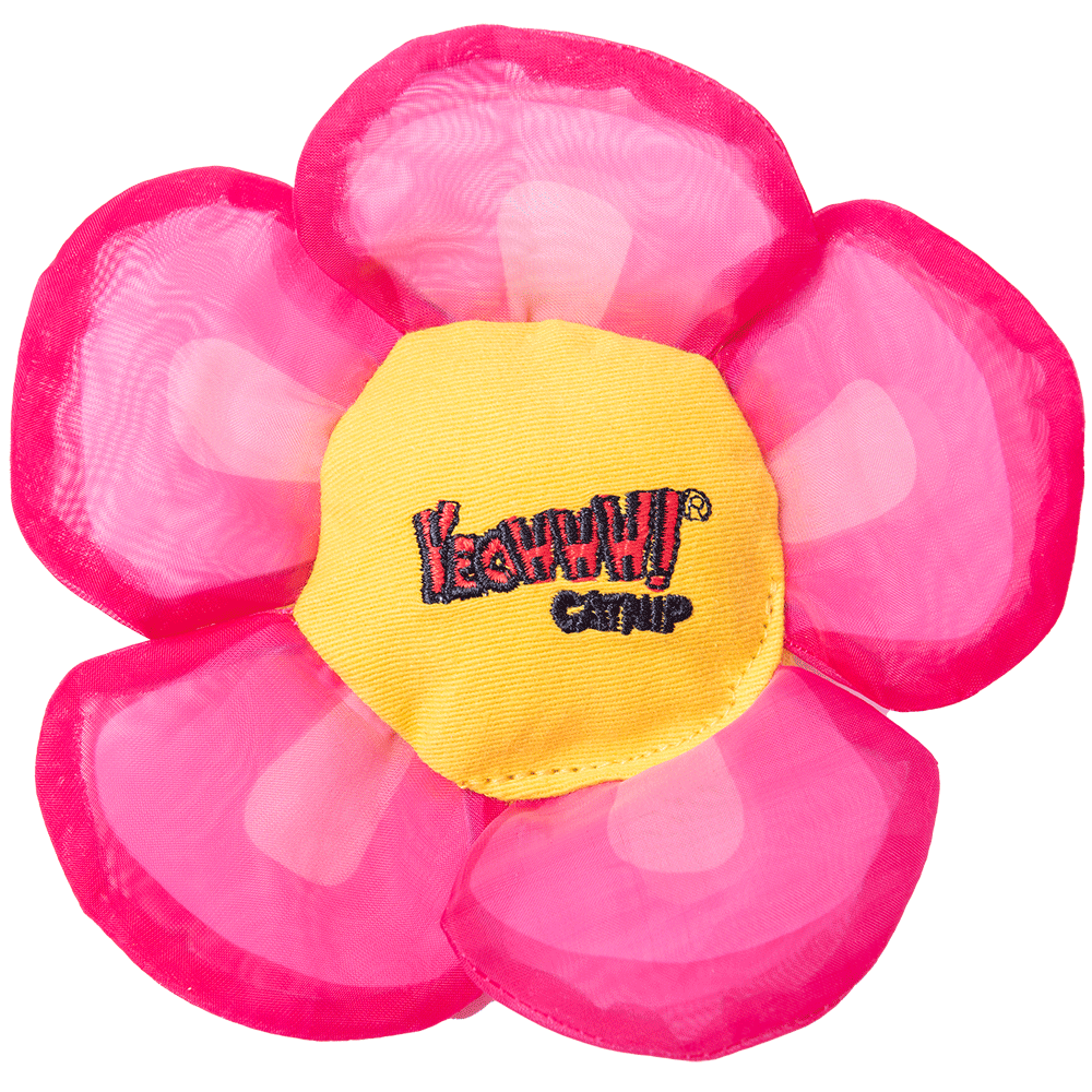Yeowww! Daisy's Flower Tops Rose jouet herbe à chats fleur