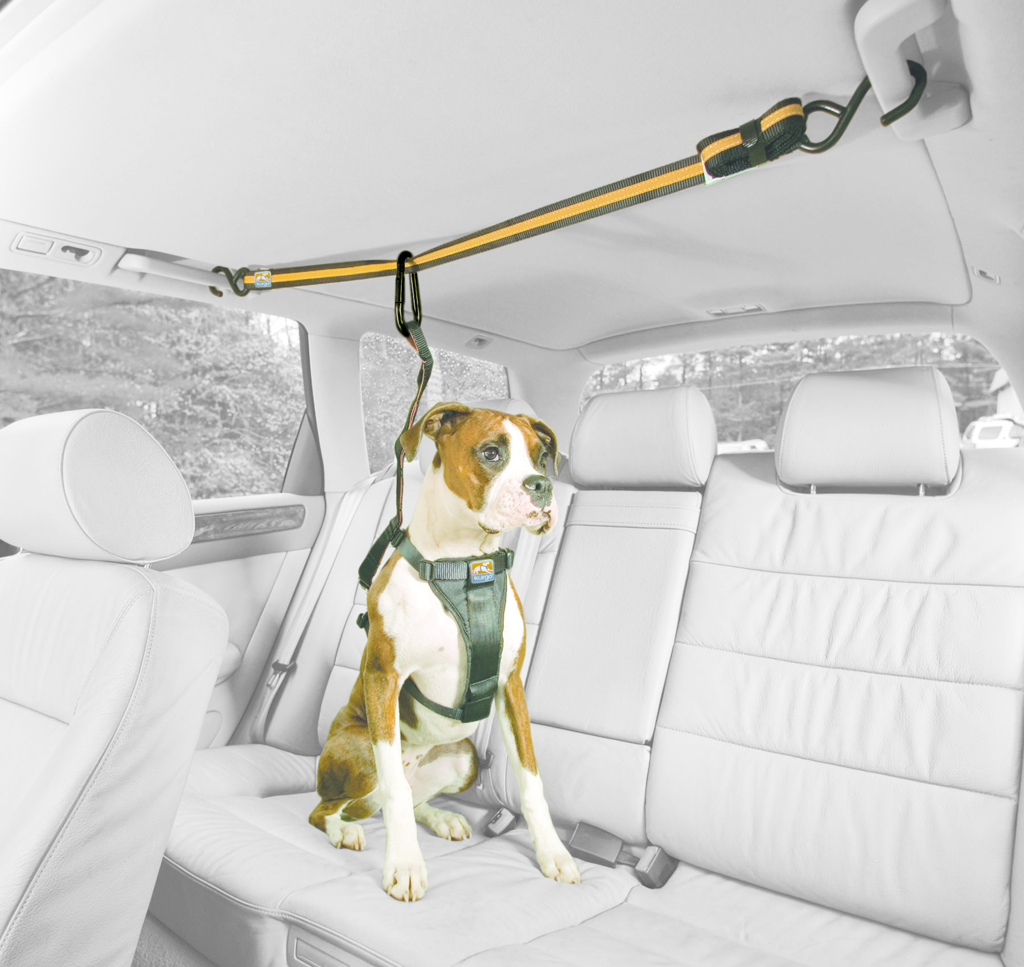 Auto-Zipline für Hunde