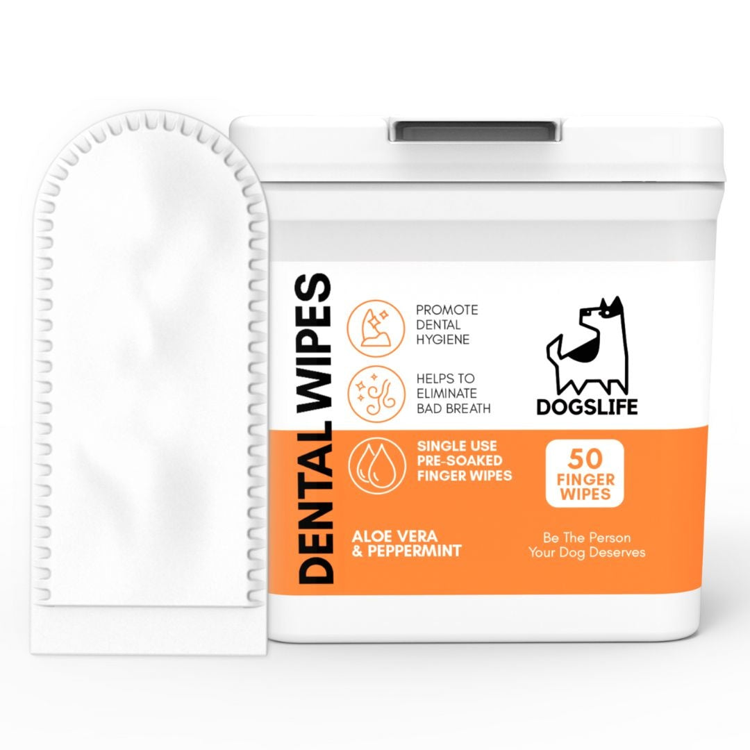 OurDogsLife Dental Wipes Hundepflegeprodukt Aloe vera & Pfefferminze, 50 Tücher