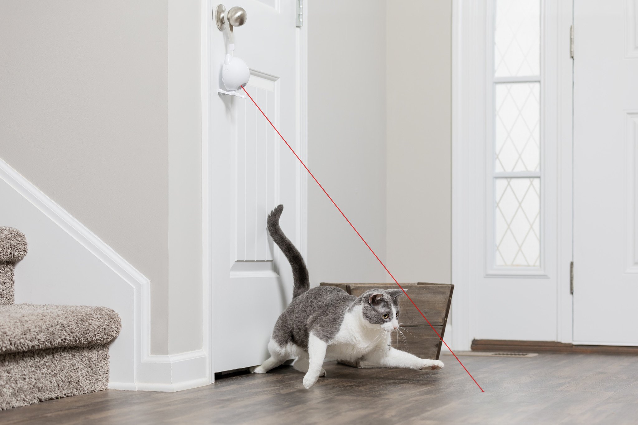 Dancing Dot Laser Cat Toy