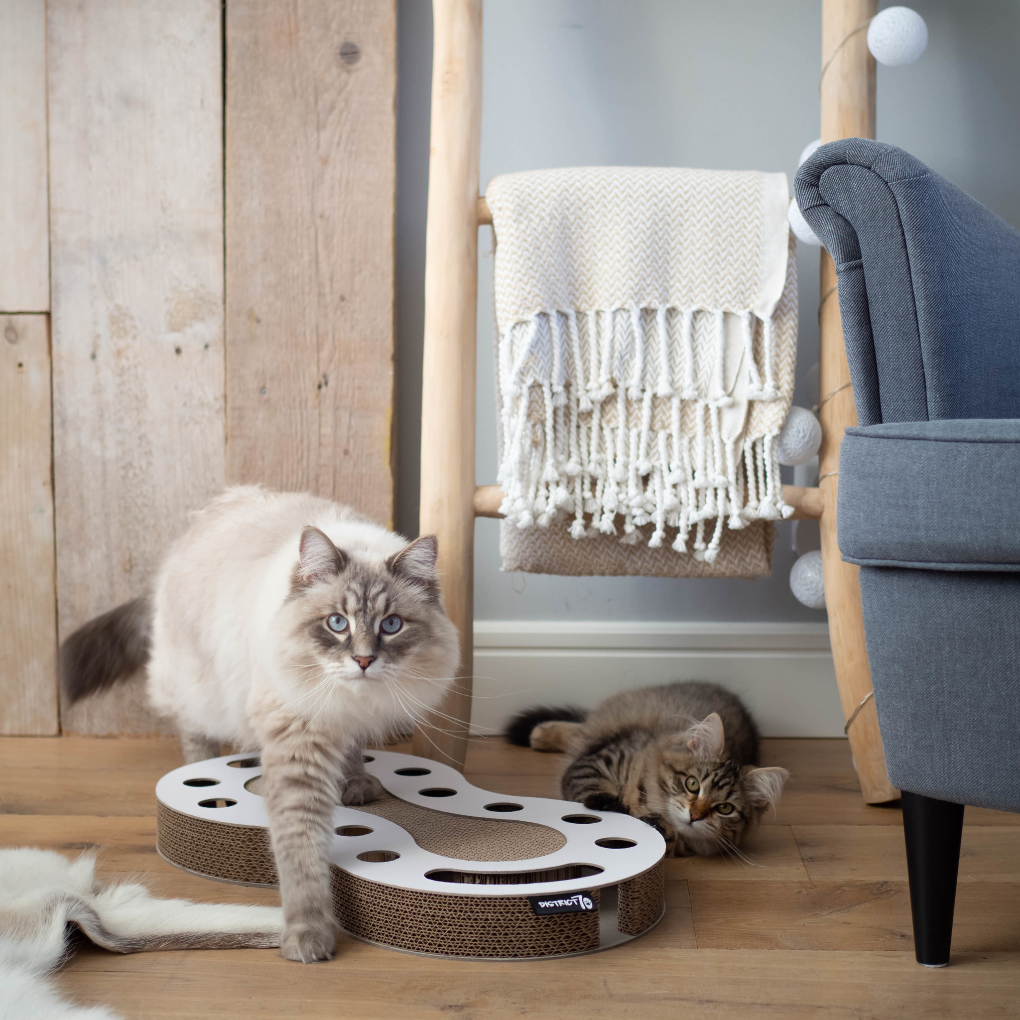 SNAKE – Weiß
