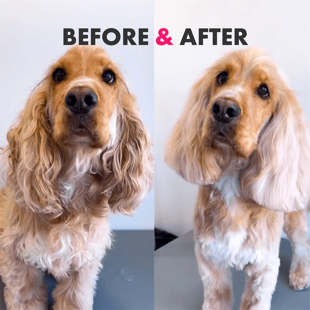DotDotPet Long Coat Conditioning shampoo ontwarrend 280 ml