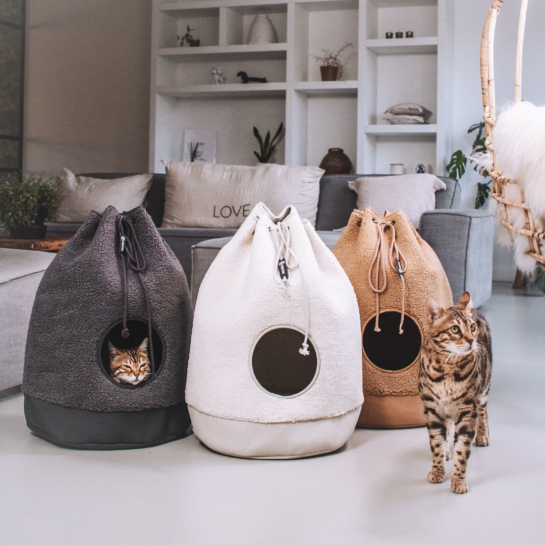 District 70 CASA Teddy Kattenmand | Cream Kleur