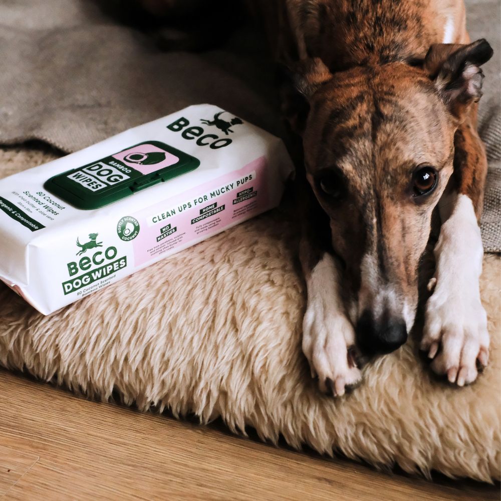 Bamboo Dog Wipes - Coconut Scented - 80 Pack