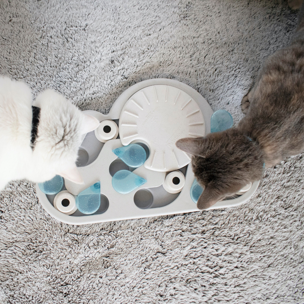 Petstages Kattenpuzzel Rainy Day Puzzle & Play – 14 traktatievakjes