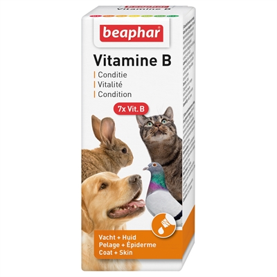 BEAPHAR Supplement Vitamine B Huid & vacht, ondersteunt zenuwstelsel, bevordert energiestofwisseling - 50 ml