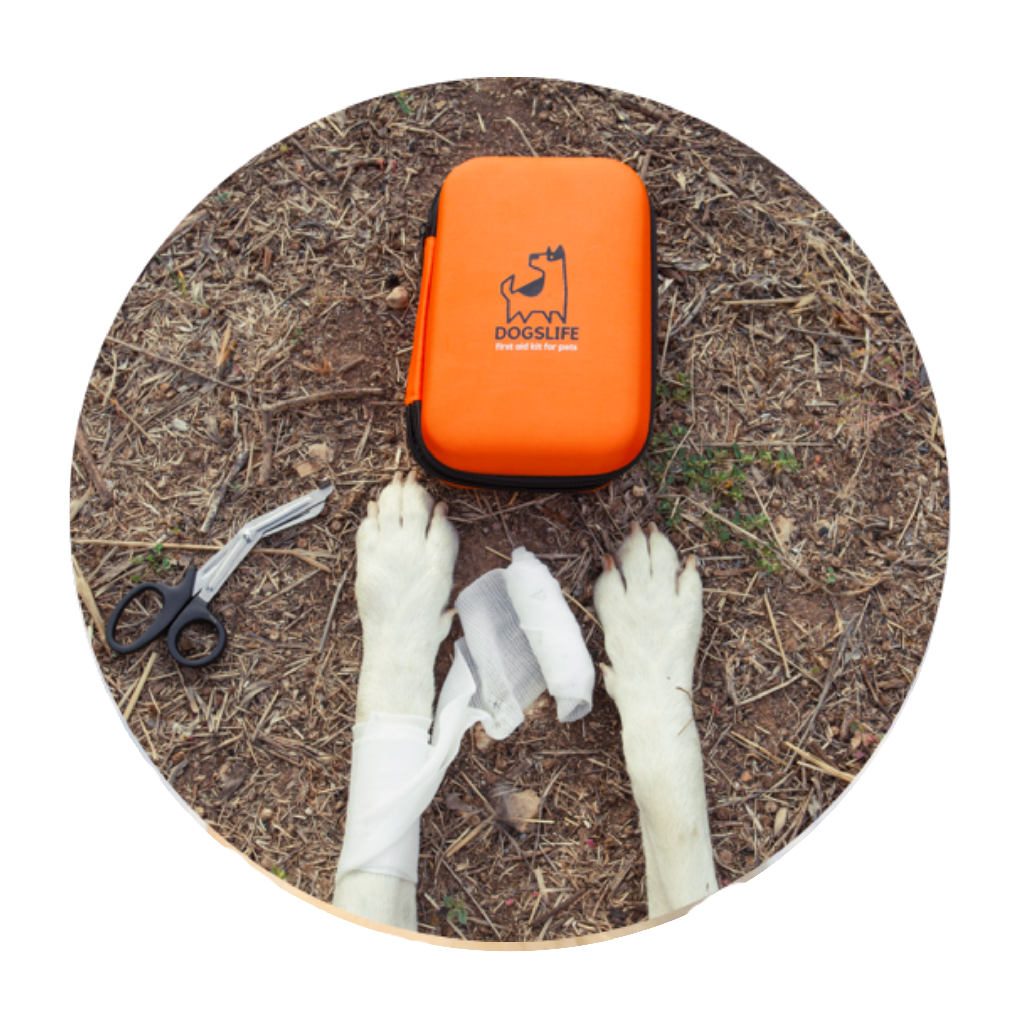 DogsLife EHBO Kit voor Honden – Meer dan 30 artikelen voor onderweg