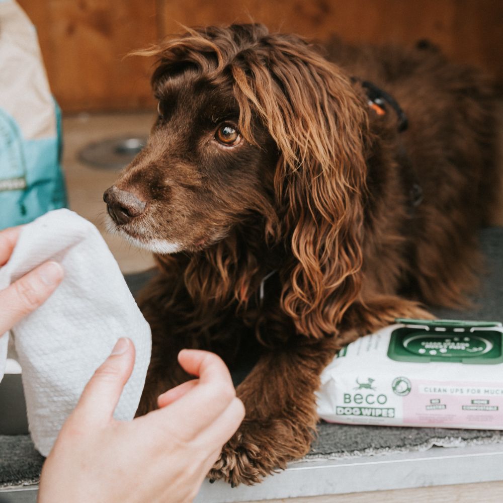 Bamboo Dog Wipes - Coconut Scented - 80 Pack