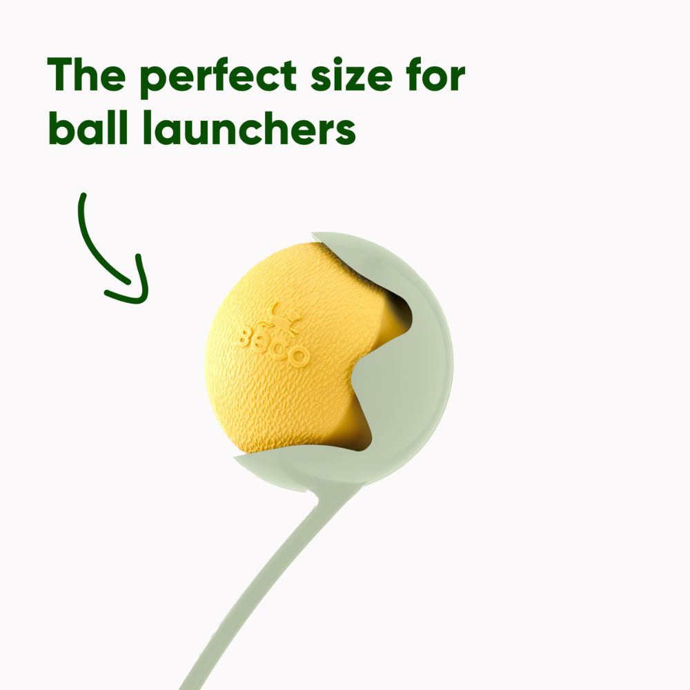 Fetch Ball - Gelb