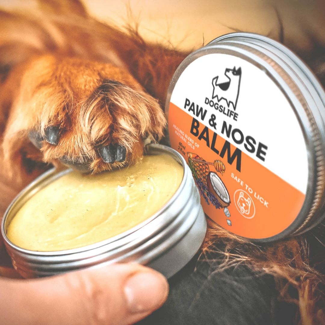 DogsLife Hondenbalsem Paw & Nose Balm – Verzorgt Pootjes en Neus