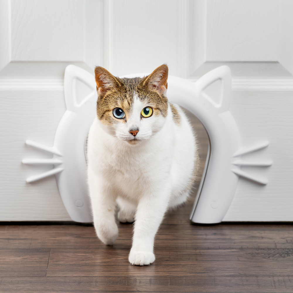 PetSafe Kattendoor Pet Corridor Wit – Voor binnengebruik
