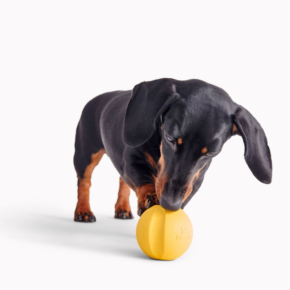 Fetch Ball - Orange