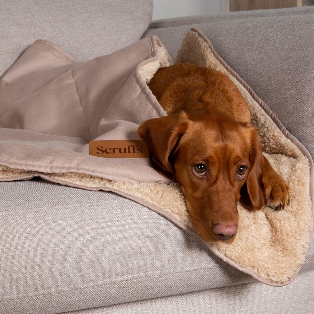 Scruffs hondendeken Cosy Blanket 120×80 cm – Grijs