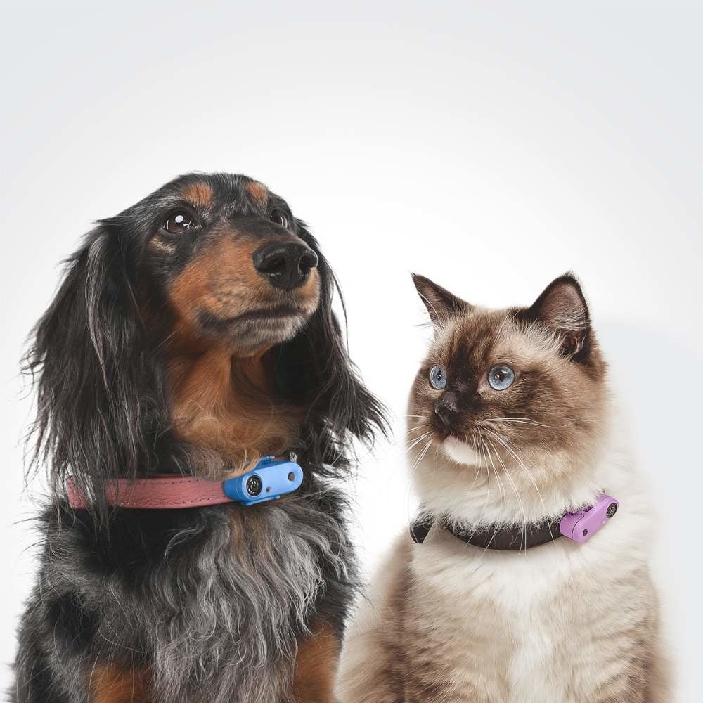 Tickless Mini Hond Teken- en Vlooienbestrijder Zwart – Ultrasoon