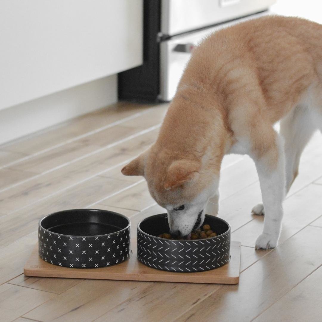 BeOneBreed hondenvoerbak Ceramic & Bamboo Duo Bowl Large – Zwart