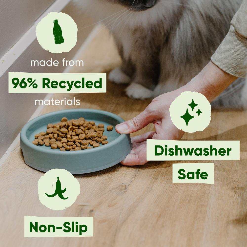 Steady Cat Bowl - Blau - 300 ml