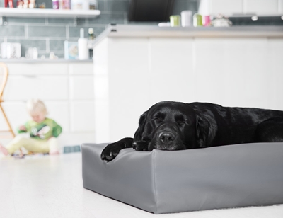 BIA Hondenmand Bia-3 Polyether kern voor gewichtsverdeling, opstaande rand, kunstleer hoes - Grijs - 70x60x15 cm
