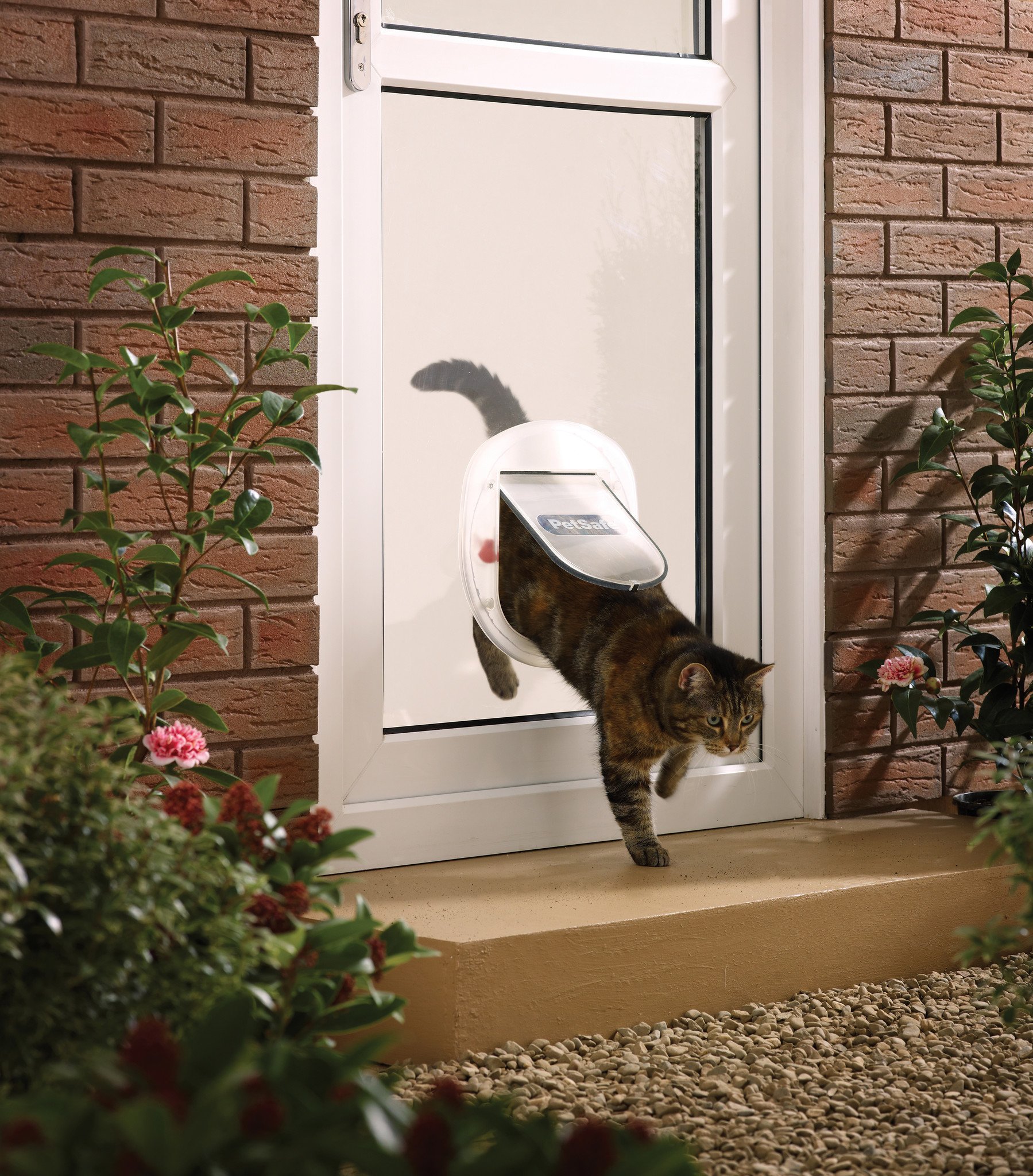 PetSafe Kattenluik Staywell® Big Cat/Small Dog 4-standen – Frosted