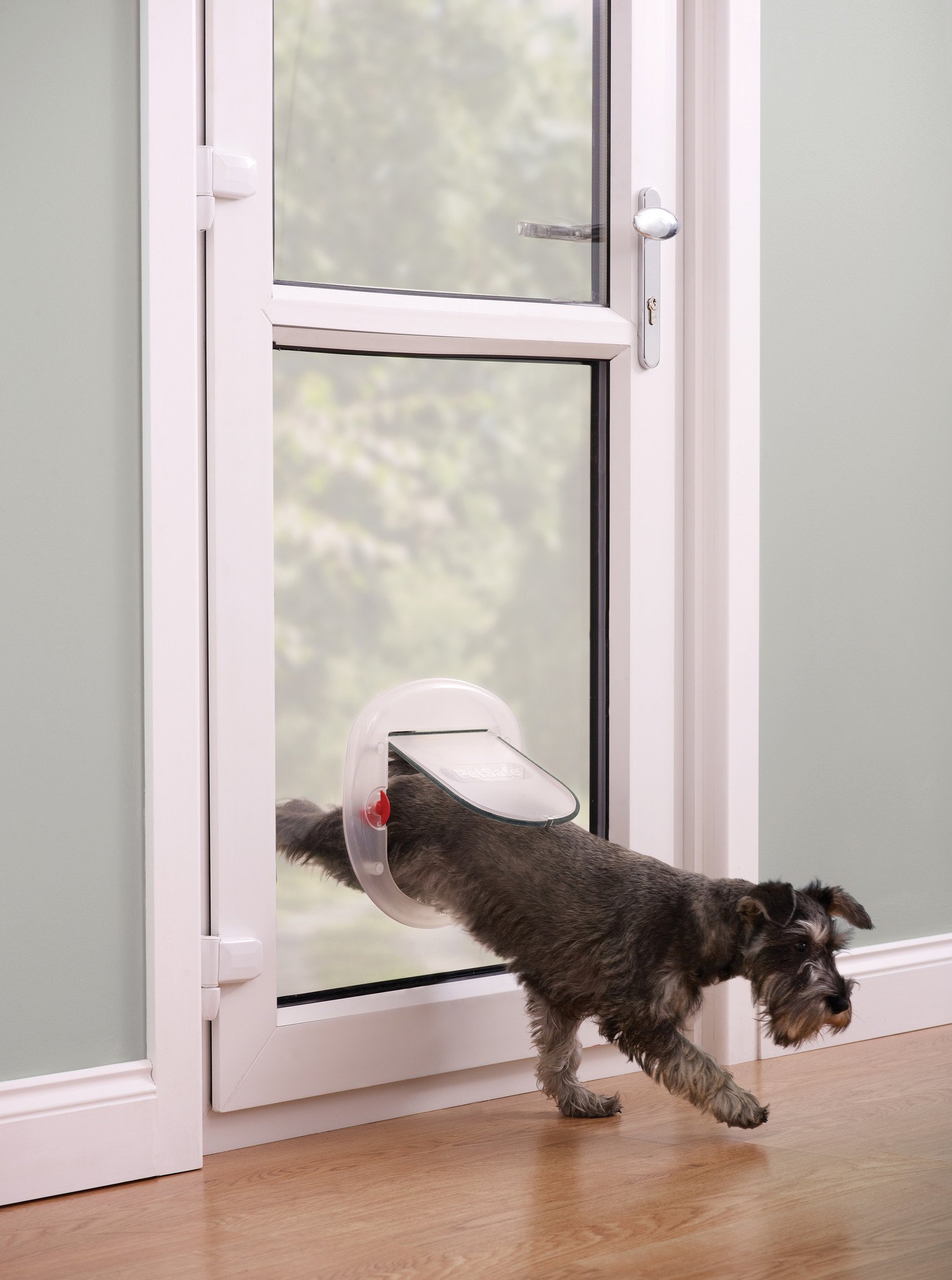 PetSafe Kattenluik Staywell® Big Cat/Small Dog 4-standen – Frosted