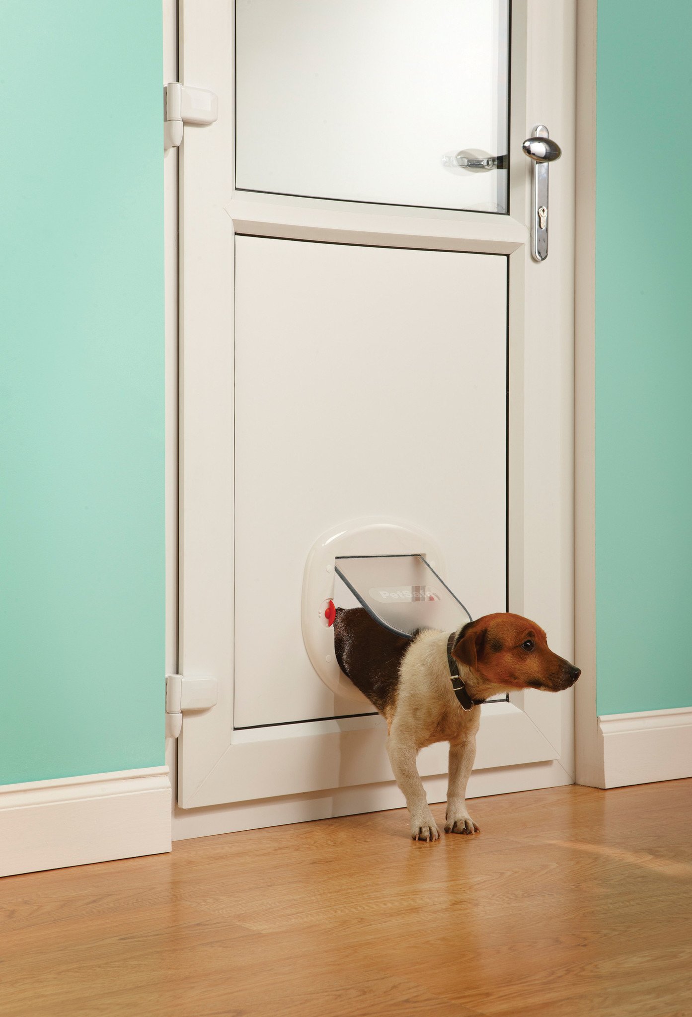 PetSafe Kattenluik Staywell® Big Cat/Small Dog 4-standen – Frosted