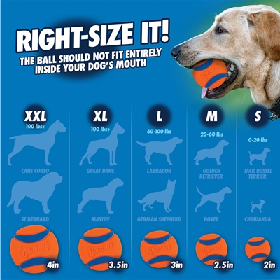 CHUCKIT ULTRA BAL