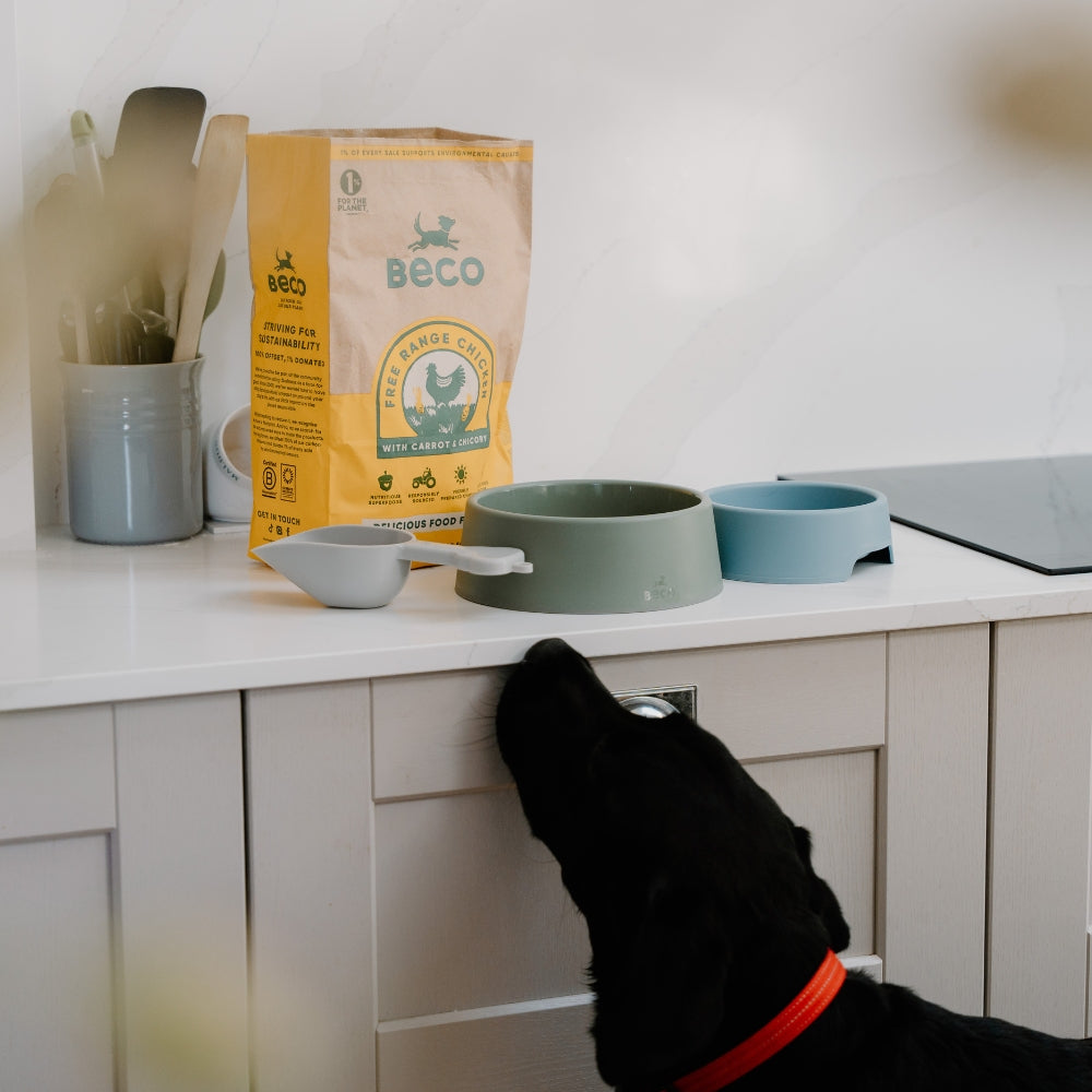 Steady Dog Bowl - Rosa / Large - 1200 ml