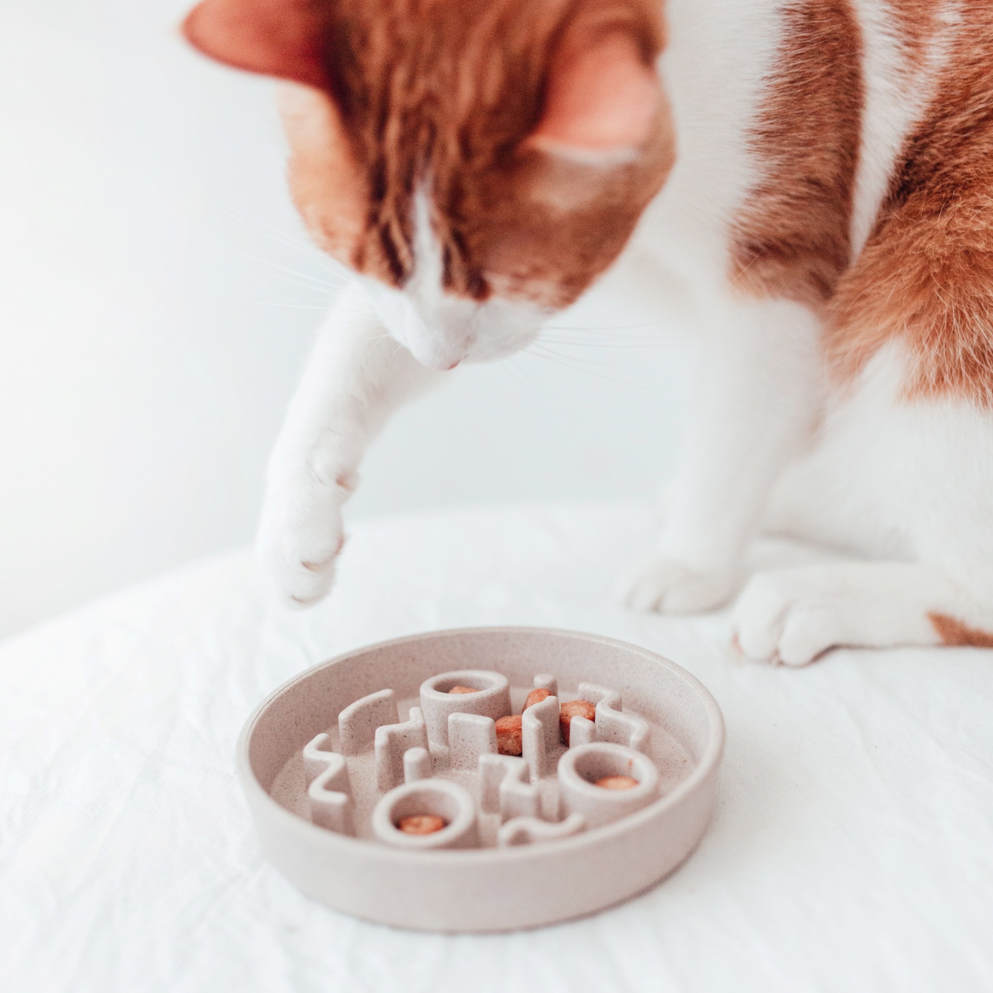 District 70 Slow Feeder BAMBOO Katten Merengue Ø13,5 cm – Grijs