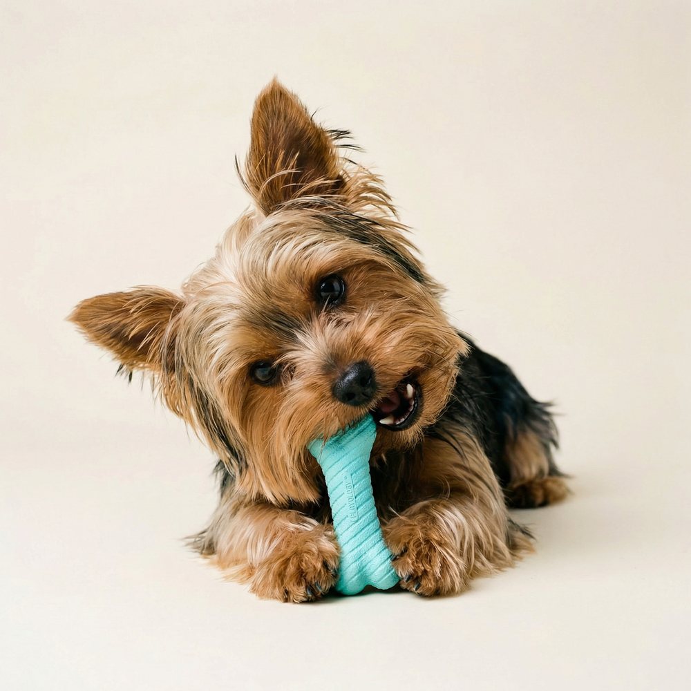 Playology Dual Layer Bone honden kauwspeeltje