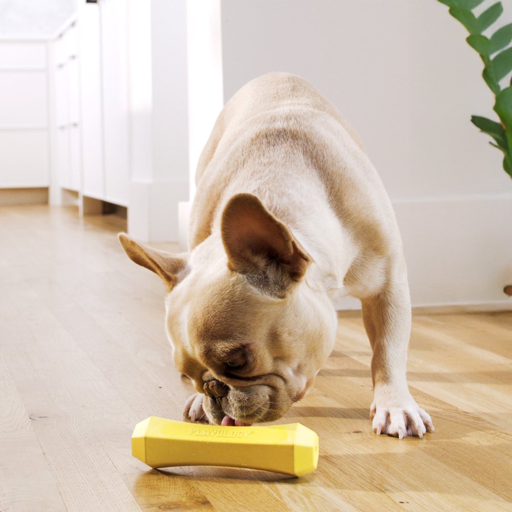 Playology Squeaky Chew Stick kauwspeeltje met pieper