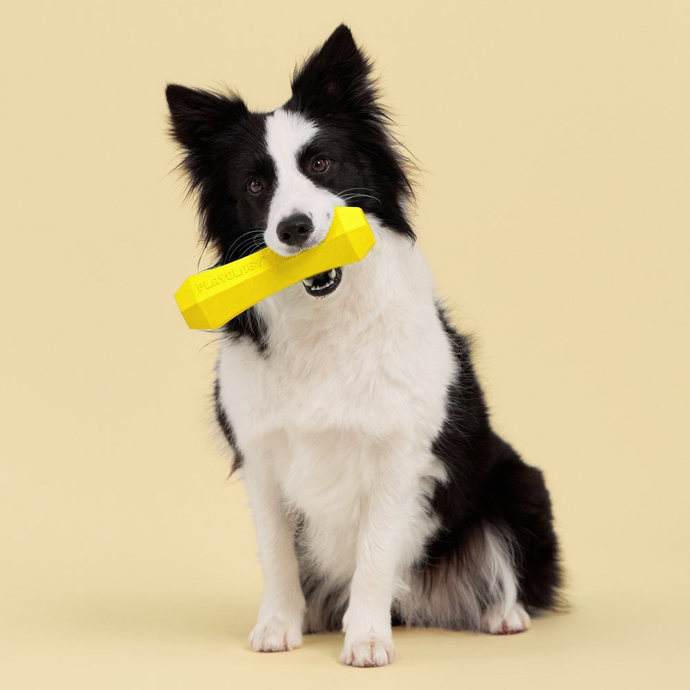 Playology Squeaky Chew Stick kauwspeeltje met pieper