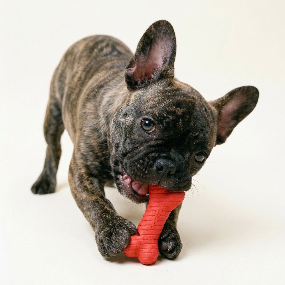 Playology Dual Layer Bone honden kauwspeeltje