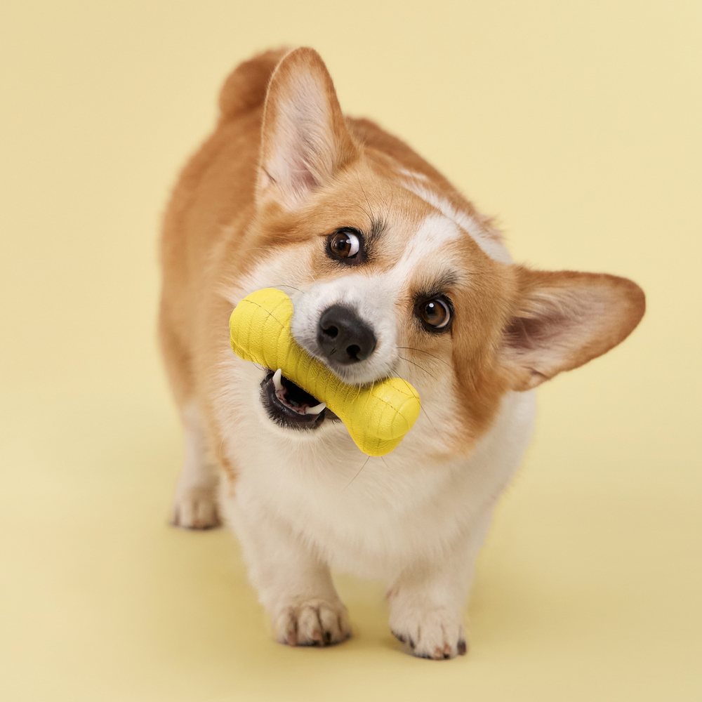 Playology Dual Layer Bone honden kauwspeeltje