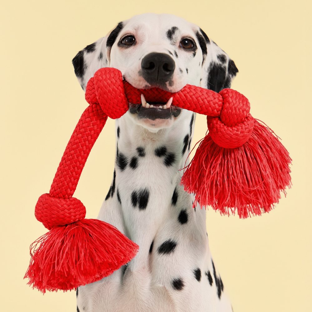 Dri-Tech Rope - Beef - Large