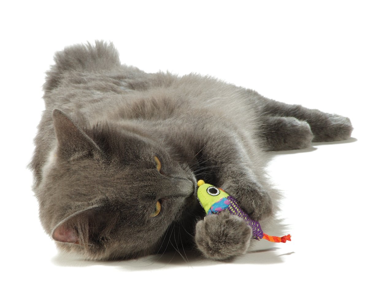 Petstages Katten Speelgoed Chew Mice 2-Pack – Gebitsverzorging