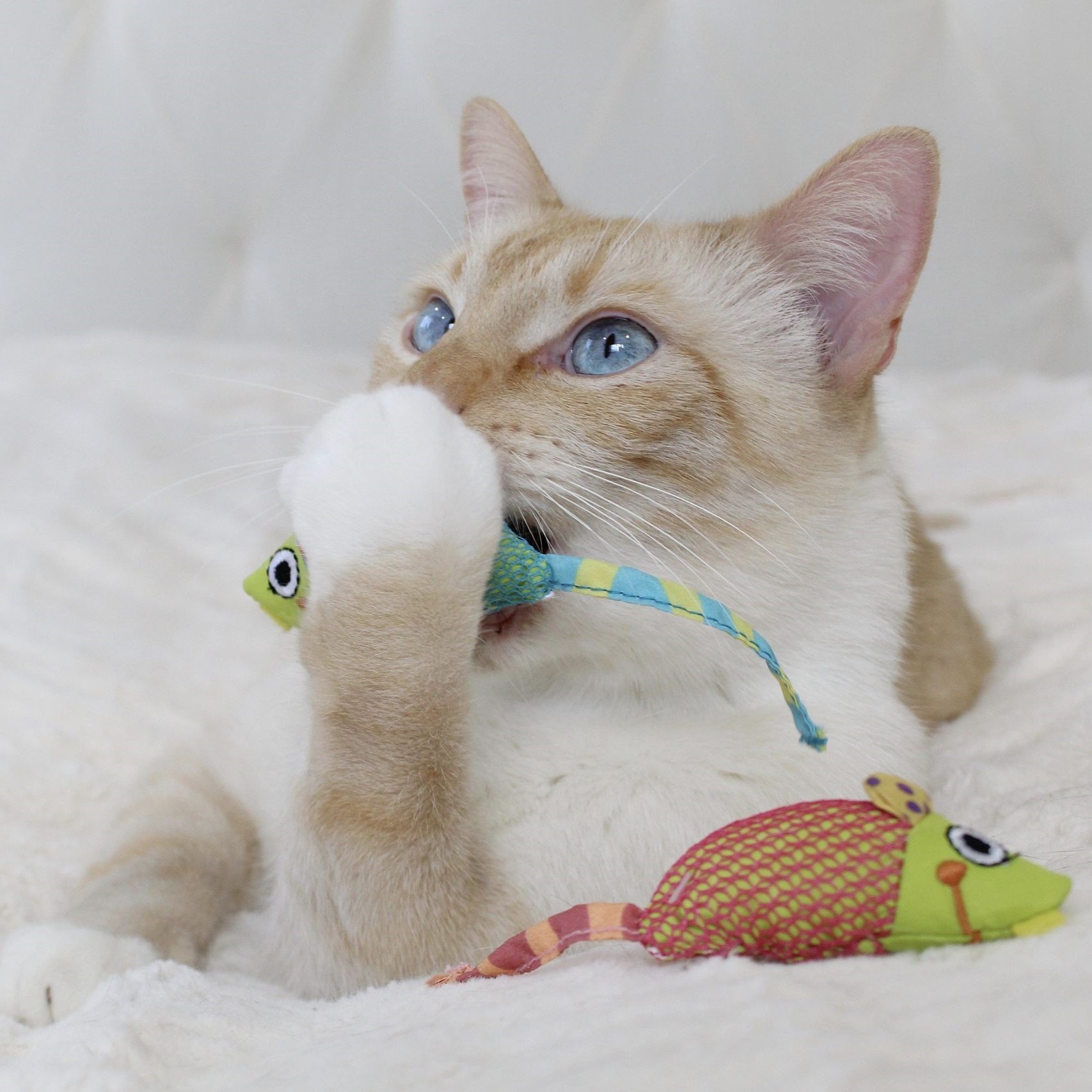 Petstages Katten Speelgoed Chew Mice 2-Pack – Gebitsverzorging