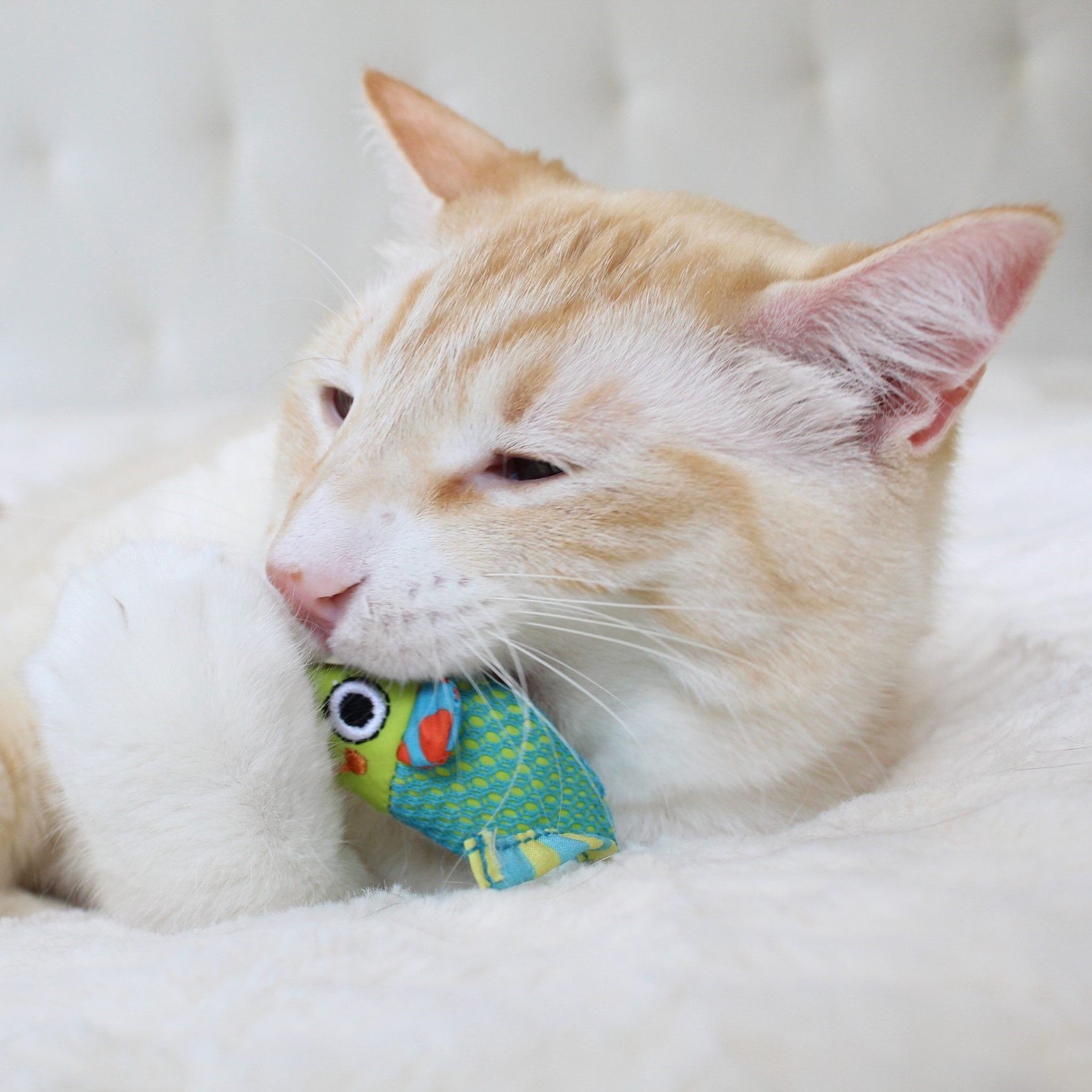 Petstages Katten Speelgoed Chew Mice 2-Pack – Gebitsverzorging