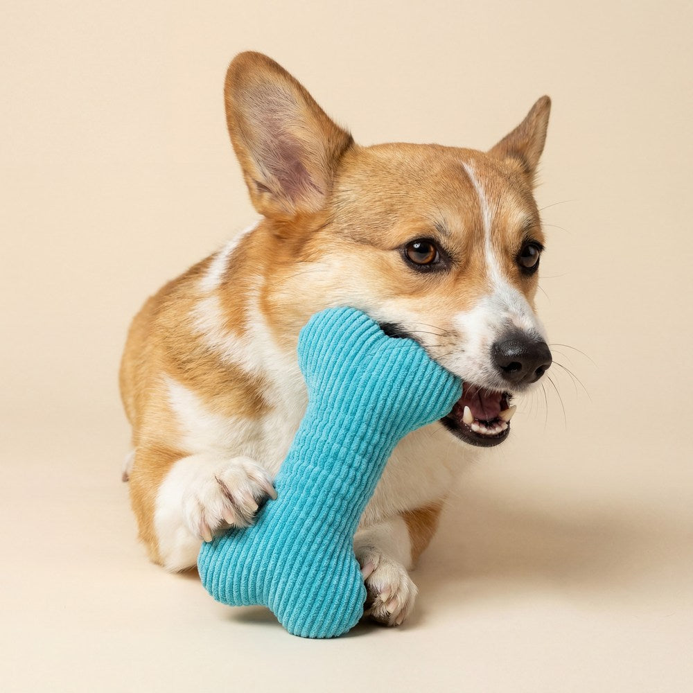 Plush Squeaky Bone - Peanut Butter - Medium