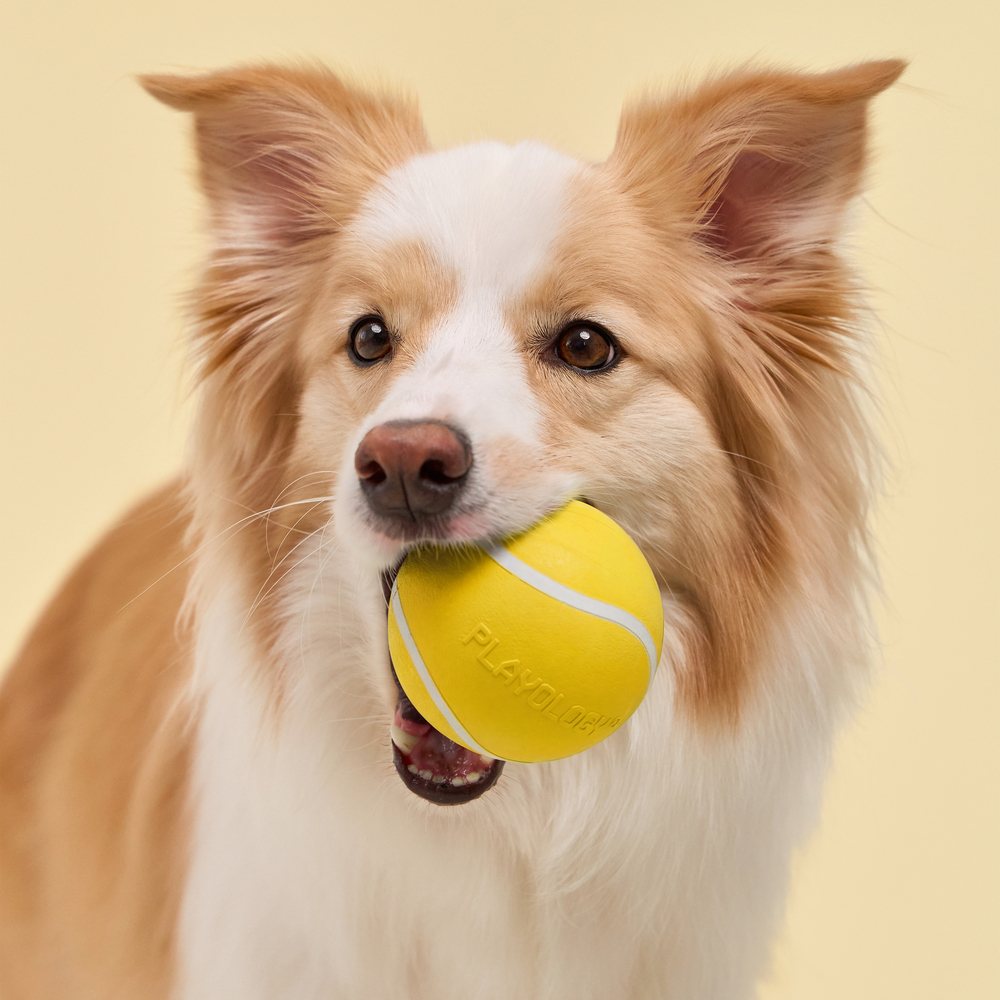 Playology Squeaky Chew Ball hondenbal met pieper